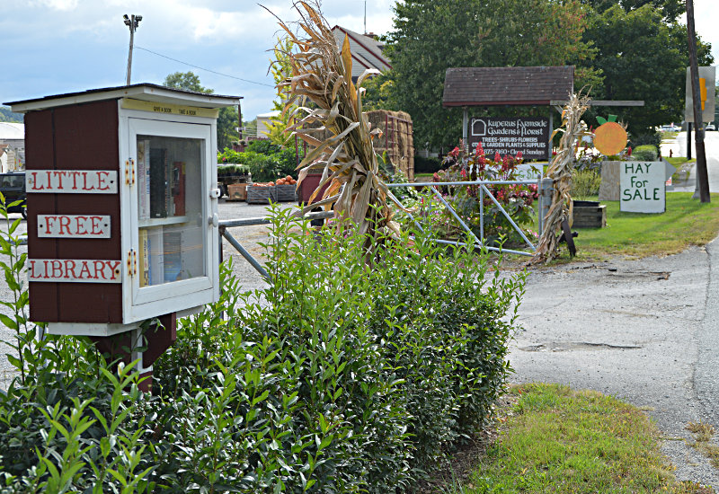 Little Free Library as seen going south.